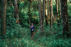 BIB: 
                            <button type="button" onclick="openModal(25238172)" class="btn btn-primary btn-sm float-right btn-popup" data-toggle="modal" data-target=".modal-high-quality">
                        <i class="fas fa-shopping-cart"></i> Add to Cart
                    </button>
                                            <button type="button" onclick="isThisMe(25238172, true)" class="btn btn-success btn-sm float-right btn-popup btn-isme hidden" data-toggle="tooltip" data-placement="bottom" title="นี่คือรูปของคุณใช่ไหม คลิกที่นี่เพื่อเอาเข้าอัลบั้ม">
                        <i class="fas fa-plus"></i> Add to album
                    </button>
                    <button type="button" onclick="isThisMe(25238172, false)" class="btn btn-warning btn-sm float-right btn-popup btn-isnotme hidden">
                        <i class="fas fa-ban"></i> Remove from album
                    </button>